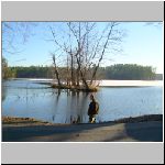 Kanclir  3.12.2008 11-13-02..JPG